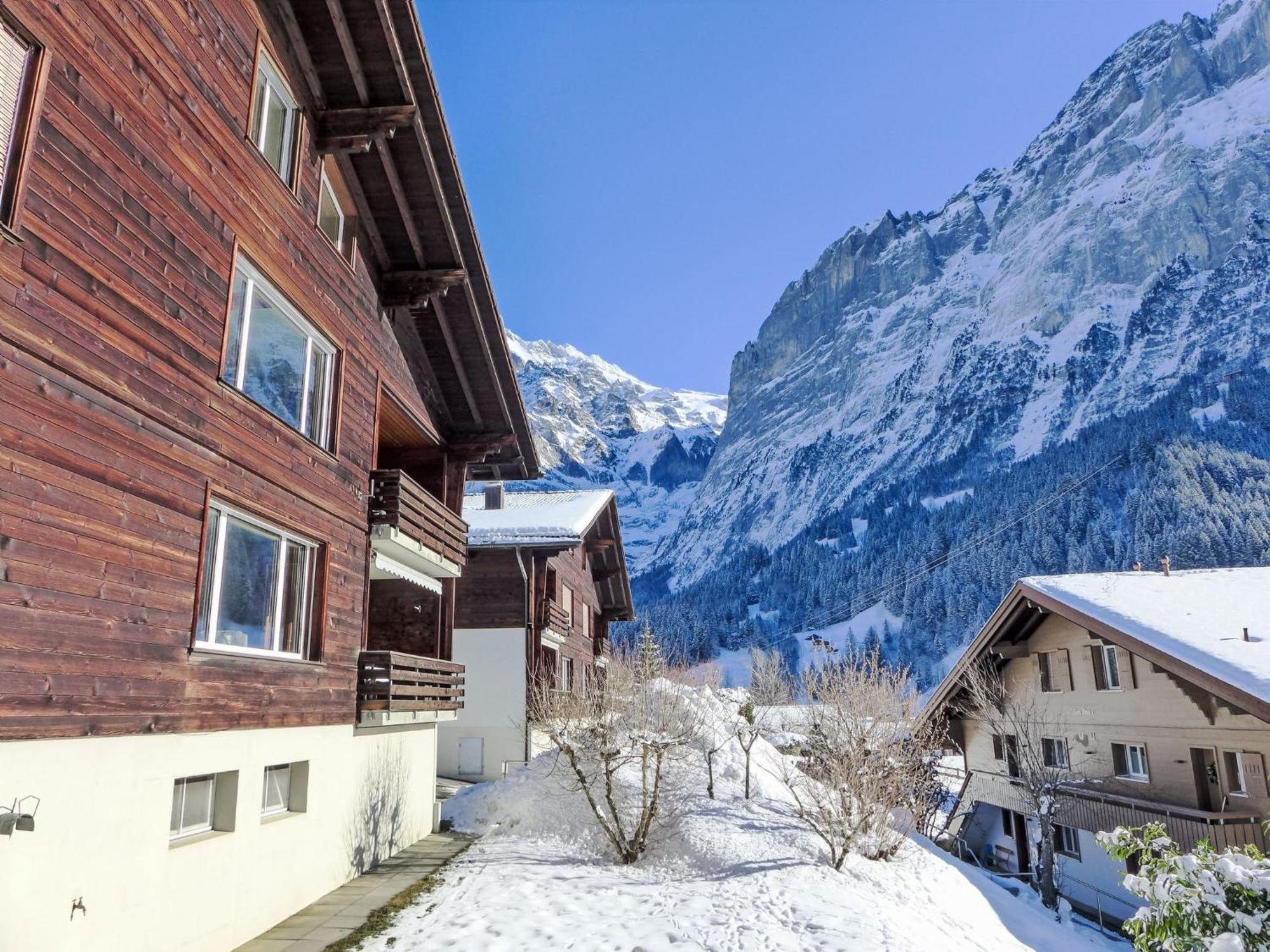 Apartment Snowkaya Grindelwald By Interhome Екстер'єр фото